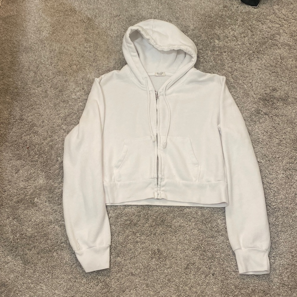 john galt/brandy melville cropped christy hoodie